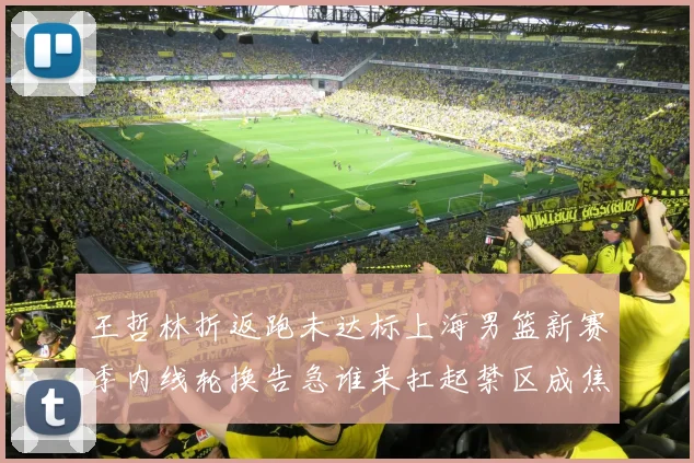 王哲林折返跑未达标上海男篮新赛季内线轮换告急谁来扛起禁区成焦点